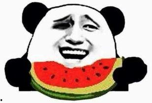 吃瓜明星黑料 朝阳吃瓜群众,明星黑料背后的真相